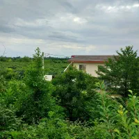 ویلا گیلاس جنگلی