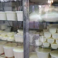 پخش لبنیات سنتی بصورت عمده و خرده .