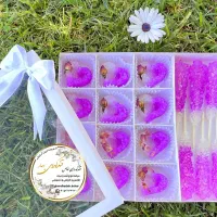 نبات های رنگی و فانتزی خاص