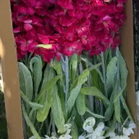 فروش گل مصنوعی