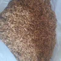 نیم کیلو بهار نارنج تازه یک دست امسال