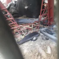 گمشده