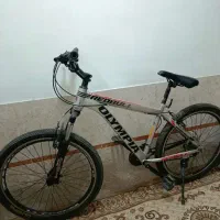 دوچرخه ۲۶|دوچرخه، اسکیت، اسکوتر|پیشوا, |دیوار