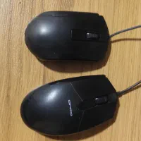 موس و کیبورد