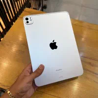 iPad Pro m4 11 inch silver