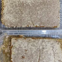 عسل سبلان