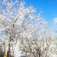آپارتمان شخصی ساز یک خوابه فرهنگیان