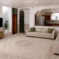 دو طبقه شناژی