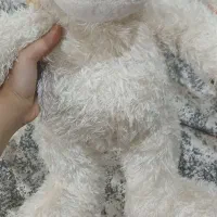 عروسک دونه ای 50