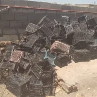 سلام سبدفروشی سالم