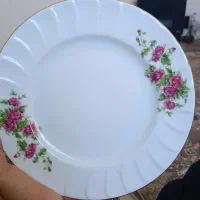 ۱۱عدد بشقاب پلو خوری گردچینی زرین لب طلا