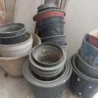 تعدادی گلدان به صورت یکجا