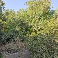 منشی خانم دفتر املاک دو شیفت