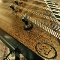 تولید کننده سنتور نی ریز