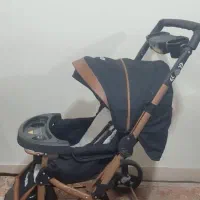 کالسکه دلیجان بنیتا