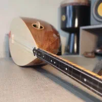 حرفه ای سفارشی دسته کوتاه