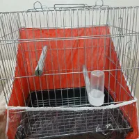 قفس پرنده