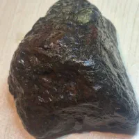 سرمایه گزار