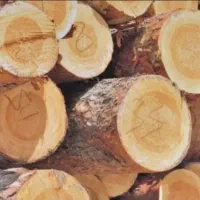 نجار کلاف بر ماهر نیازمندیم