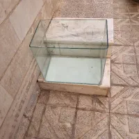 شیشه آکواریوم