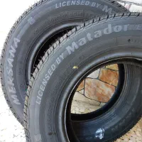 لاستیک پژویی R14