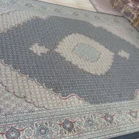 فرش|فرش|مشگین شهر, |دیوار