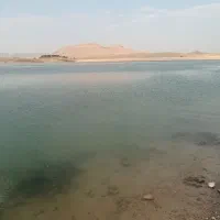 کارگر ساده هستم در هر کاری مهارت دارم