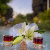 عکاسی عقدحرم، پرتره، مناسبتی