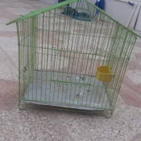 قفس نو