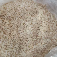 برنج طارم محلی فریدون کنار