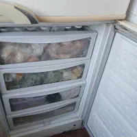 یخچال ایرانی گلسان