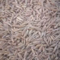 جو محلی  تمیز