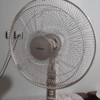 پنکه سانی