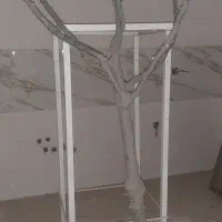 درخت