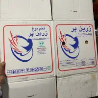 کارتن خالی تخم مرغ