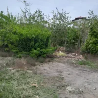 زمین ۵۸۷ متری گسکر محله مناسب ساخت مسکونی