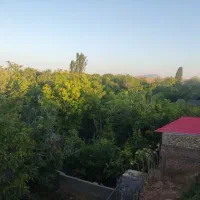 باغ ویلا همراه استخر آب گرم جکوزی