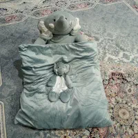 تشک فیلی نوزاد