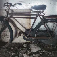 دوچرخه ۲۸ فونیکس ، نوستالژی