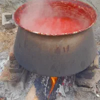 رب خانگی زغالی