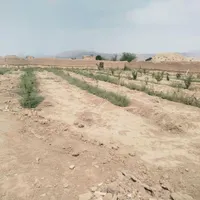 فروش باغ ۴۵۰ متری با موقعیت عالی|فروش زمین و ملک کلنگی|شاهرود, |دیوار