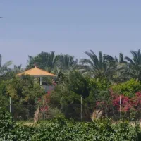 فروش-5000زمین-کشاورزی
