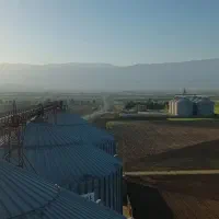 جویای کار