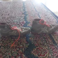 کفش کشتی