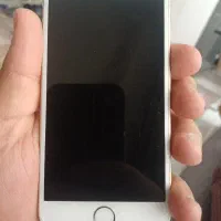 apple6