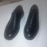 کفش مجلسی
