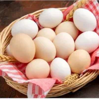 فروش تخم مرغ محلی تازه و با کیفیت