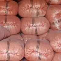 کاه گندم