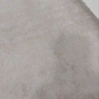 پالازموکت