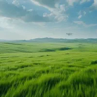 فروش زمین نمک آبرود نورسر